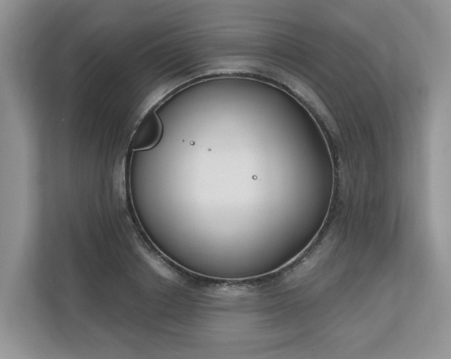 X0000110900842200906251336