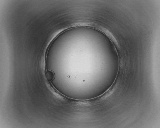 X0000110900844200906251336