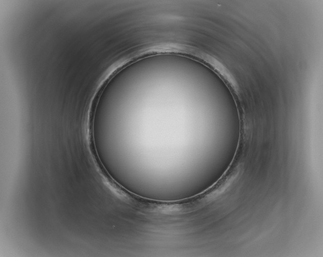 X0000110900845200906251336
