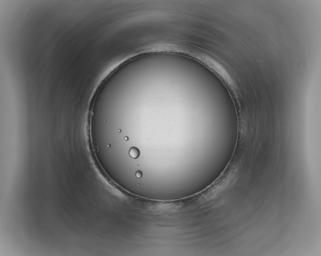X0000110900847200906251336