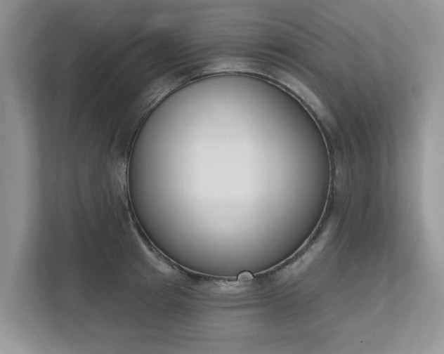 X0000110900849200906251336