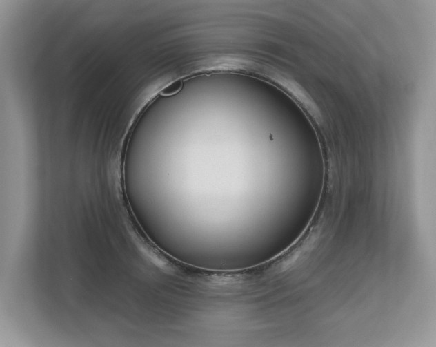 X0000110900850200906251336