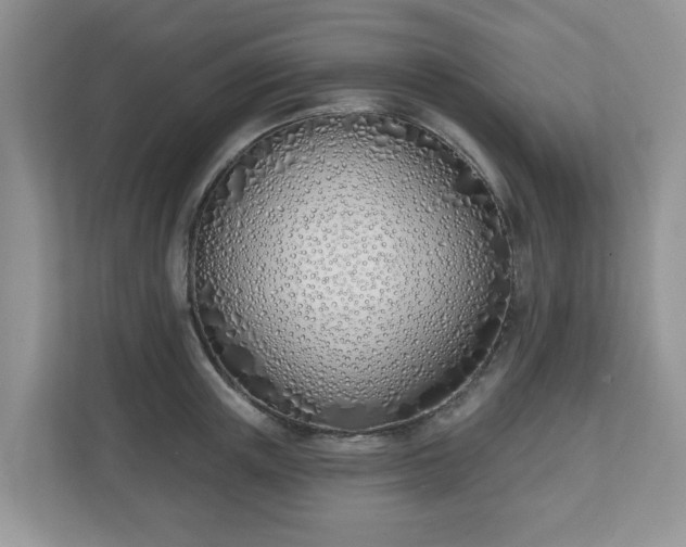 X0000110900851200906251336