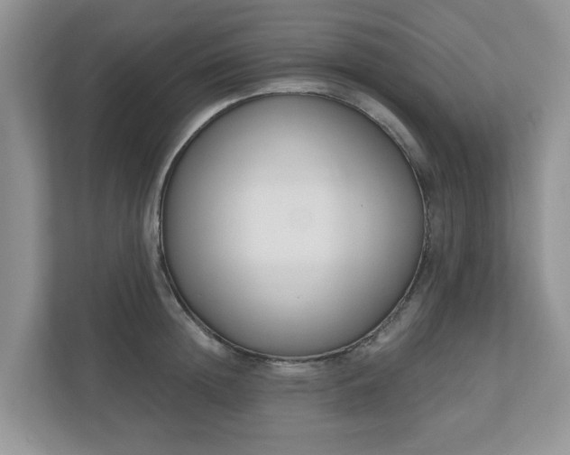 X0000110900852200906251336