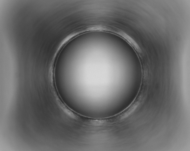 X0000110900854200906251336