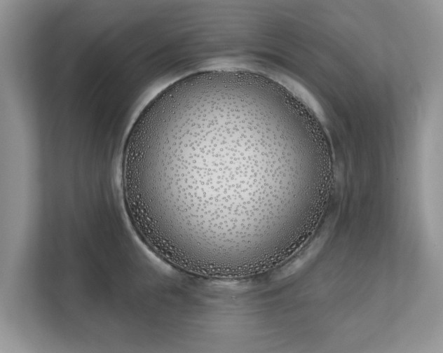 X0000110900855200906251336