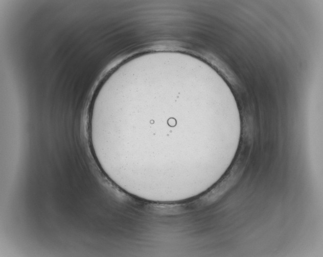 X0000110900856200906251336