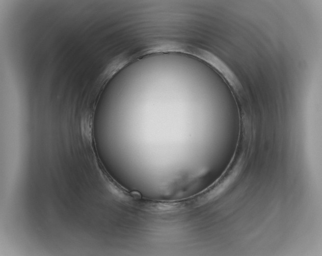 X0000110900857200906251336