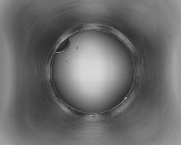 X0000110900858200906251336