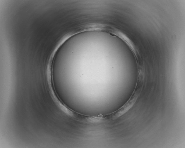 X0000110900859200906251336