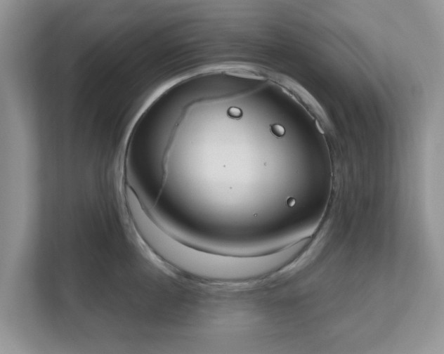 X0000110900860200906251336