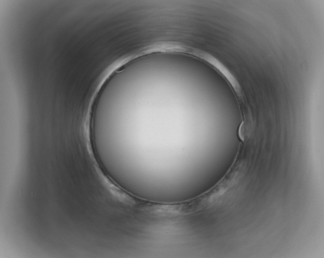 X0000110900861200906251336