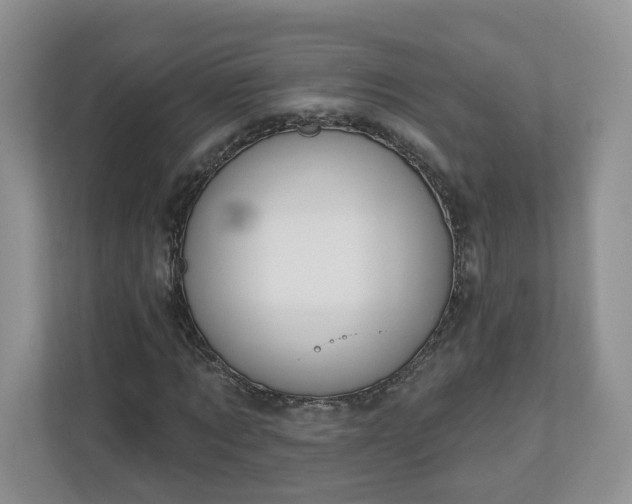 X0000110900869200906251335
