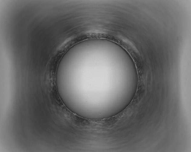 X0000110900870200906251335