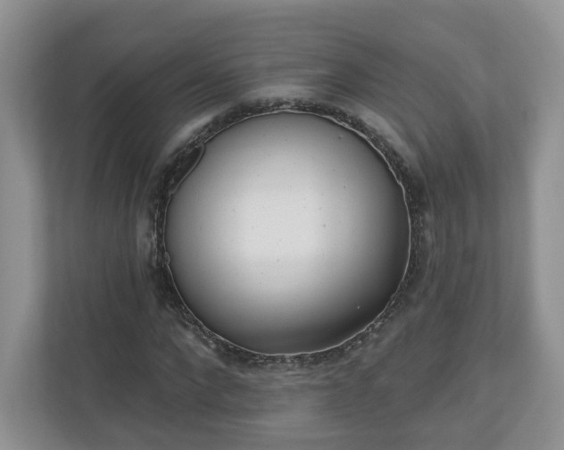 X0000110900872200906251335