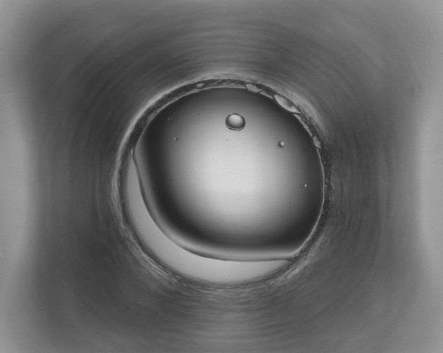 X0000110900880200906251335