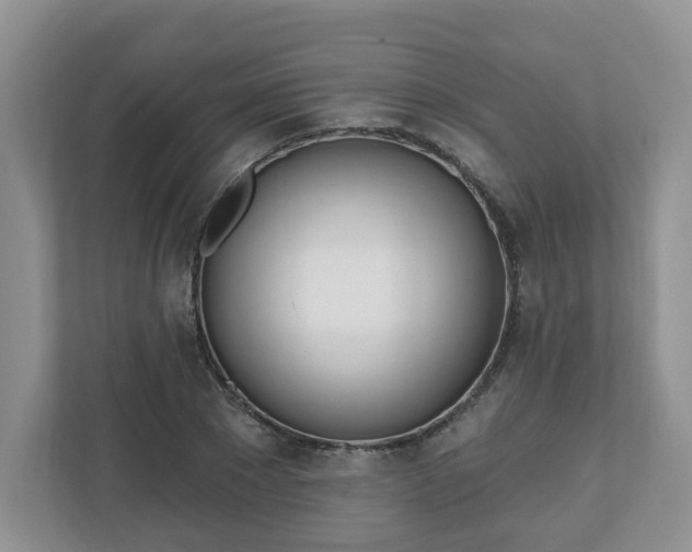 X0000110900881200906251335