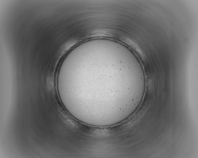 X0000110900882200906251335