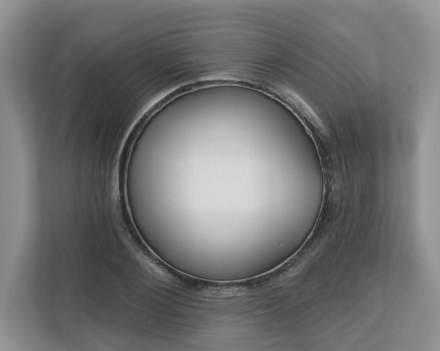X0000110900884200906251335
