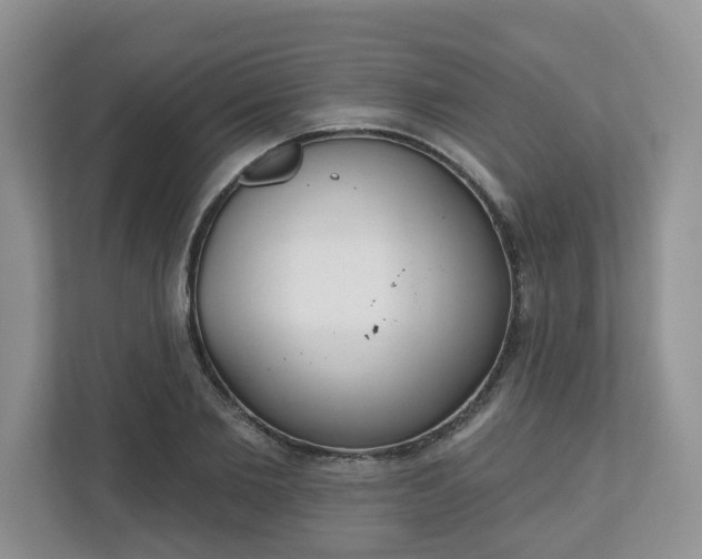 X0000110900885200906251335