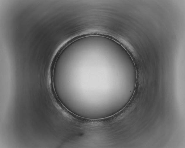 X0000110900888200906251335