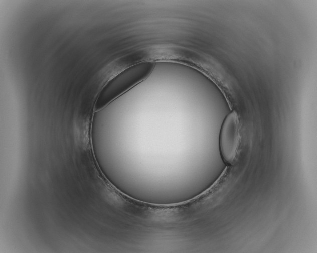 X0000110900889200906251335