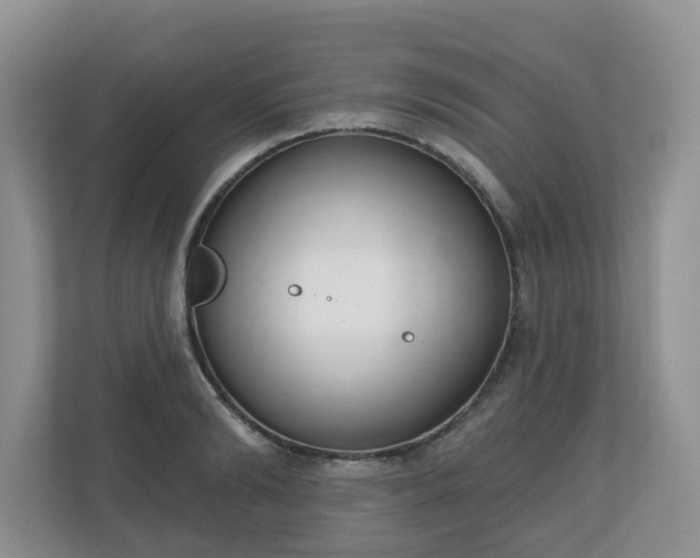 X0000110900894200906251335