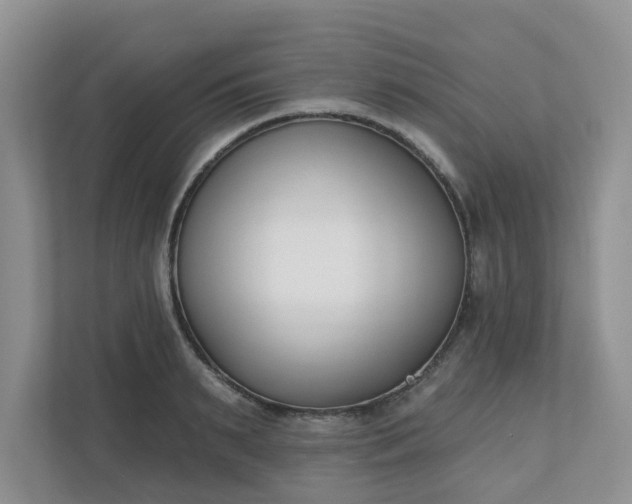 X0000110900895200906251335