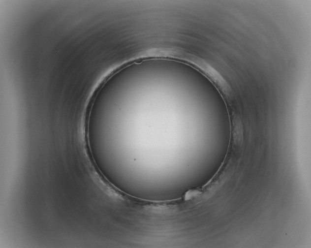 X0000110900896200906251335