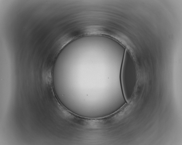 X0000110900897200906251335