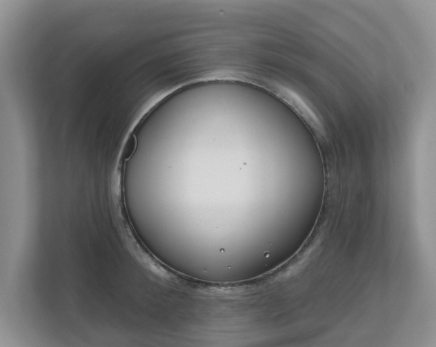 X0000110900900200906251335