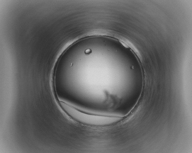 X0000110900901200906251335
