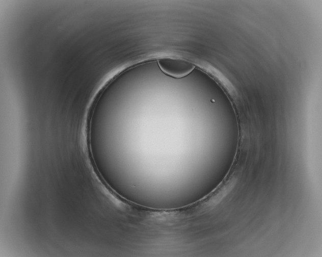 X0000110900902200906251335