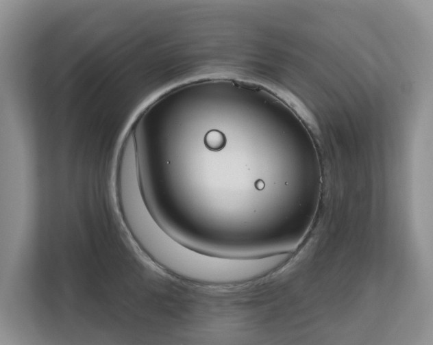X0000110900904200906251335