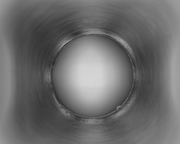 X0000110900905200906251335