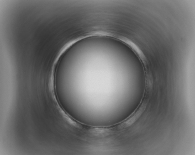 X0000110900910200906251335