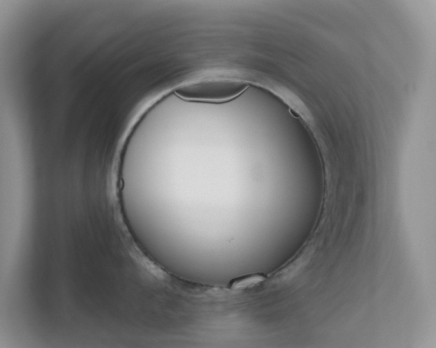 X0000110900912200906251335