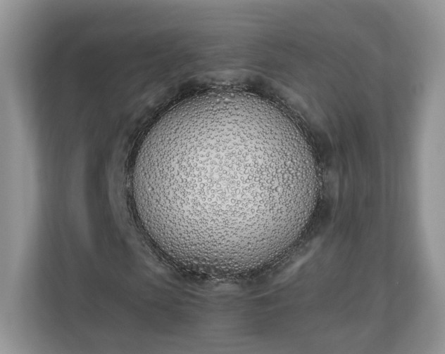 X0000110900913200906251334