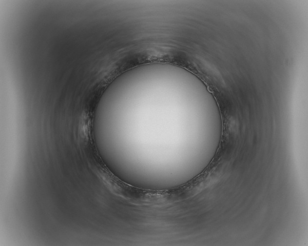 X0000110900914200906251334