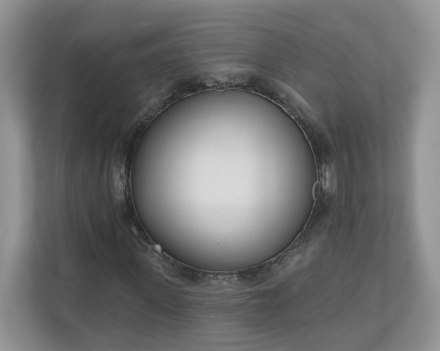 X0000110900915200906251334