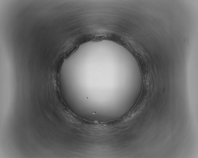 X0000110900916200906251334