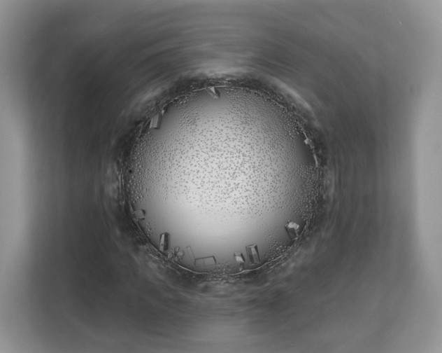 X0000110900917200906251334
