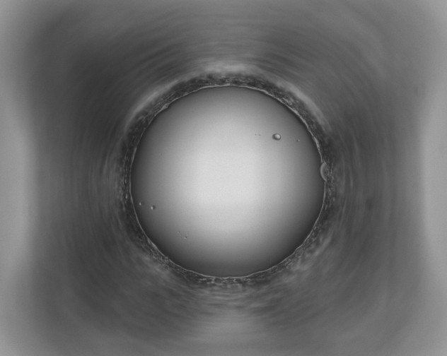 X0000110900919200906251334