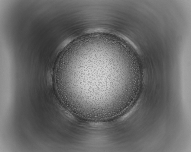 X0000110900921200906251334