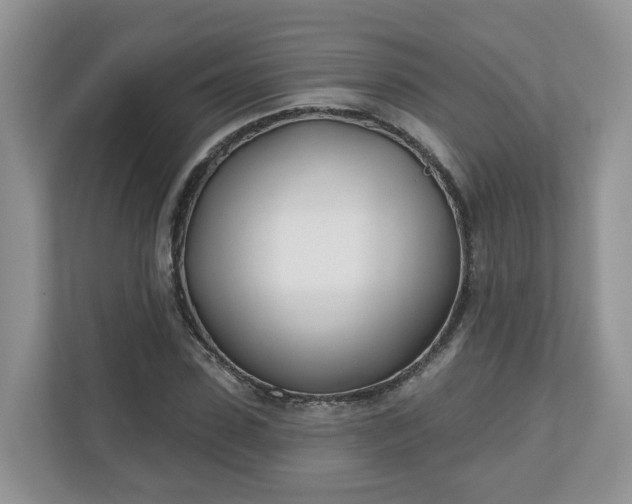 X0000110900923200906251334