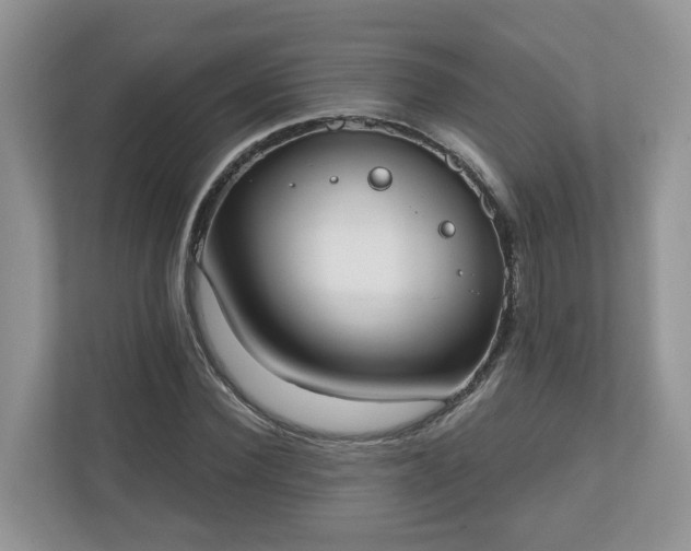 X0000110900924200906251334