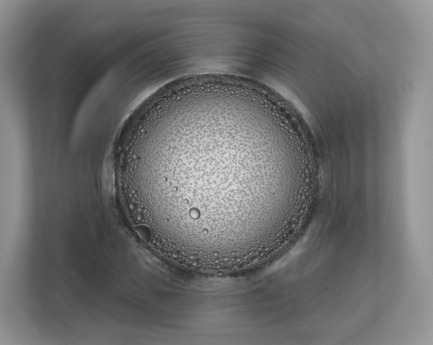X0000110900925200906251334