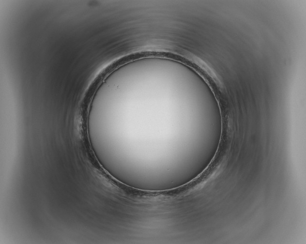 X0000110900926200906251334