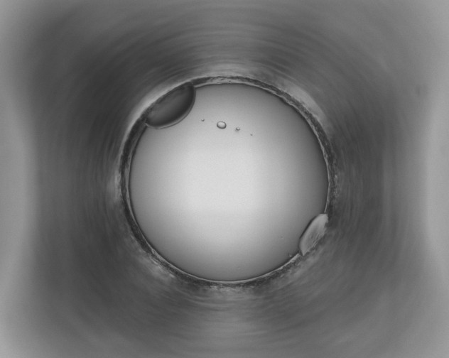 X0000110900928200906251334