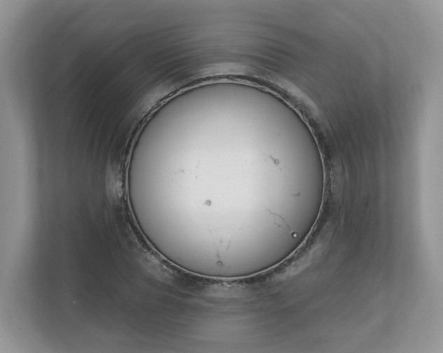 X0000110900929200906251334